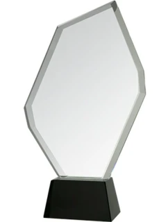 Skleněná trofej s pouzdrem