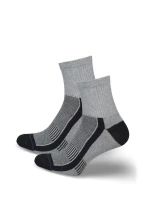 Pánské ponožky ACTIVE 0224.042