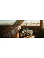 Dámská ikonická crossbody ledvinka Vuch Tricia West