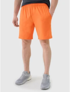 Pánské rychleschnoucí tréninkové šortky 4F 4FWSS25TFSHM0911-70S
