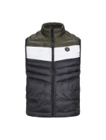 Jack&Jones Jjespring Vesta s límcem Noos M 12258457