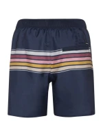 Pánské plážové šortky Protest PRTKALFORD (P2710821/906) Pánské plážové šortky Protest PRTKALFORD (P2710821/906)