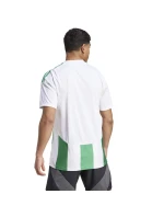 Adidas Striped 24 JSY M IW2148 tričko Adidas Striped 24 JSY M IW2148 tričko