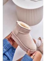 Dámské Sněhule Na Platformě Zateplené Kožíškem Světle Béžové Xamella