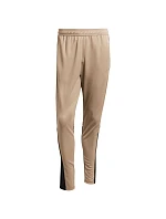 Kalhoty adidas Squadra 25 Training M JP3374 Kalhoty adidas Squadra 25 Training M JP3374