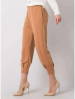 Tepláky 217 DR 25676.78P velbloud