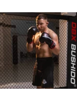 Boxerské rukavice 14oz - Ninja - Legacy Series