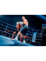 Boxerské rukavice 10oz - Spirit - Valor Series