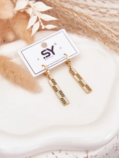 Visací náušnice se zirkony Pozlacená ocel