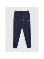 Pánské tepláky typu jogger 4F 4FRMM00TTROM1624-31S