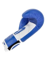 MASTERS RBT-TRW 01210-02 kožené boxerské rukavice