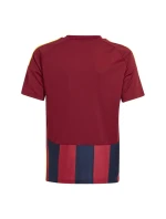 Tričko adidas Striped 24 Jr IW2139 Tričko adidas Striped 24 Jr IW2139