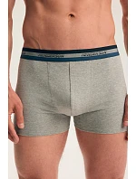 PÁNSKÉ BOXERKY FAR 45480 AW26 PÁNSKÉ BOXERKY FAR 45480 AW26