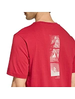 Pánské tričko adidas Outdoor Mountain Biking Graphic T-shirt red KB2538 pánské