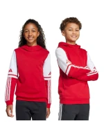 Adidas Squadra 25 Sweat Hoody Jr JD4805 Mikina