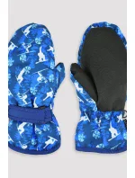 LYŽAŘSKÉ RUKAVICE RN046 LYŽAŘSKÉ RUKAVICE RN046