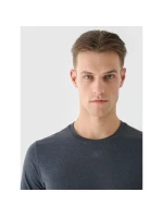 Pánské pravidelné rychleschnoucí tréninkové tričko 4F 4FWAW24TFTSM1003-22M