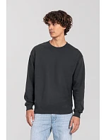Fruit of the Loom Iconic 250 Set-In Sweat Mikina 16.2292 light graphite Fruit of the Loom Iconic 250 Set-In Sweat Mikina 16.2292 light graphite