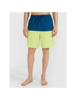 Pánské plážové šortky boardshorts 4F 4FWSS25UBDSM135-45S