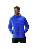 Pánská bunda 4F M240 M 4FAW23TDJAM240 36S