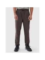 Pánské rychleschnoucí tréninkové kalhoty 4F 4FWSS25TFTRM0781-81S