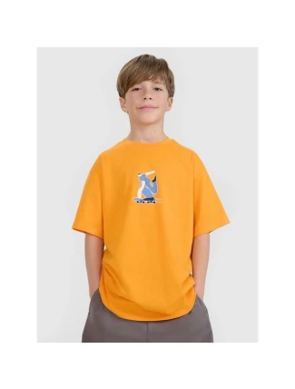 Chlapecké tričko s potiskem 4F 4FJRSS25TTSHM2641-70S