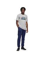 Pánské tričko adidas Sportsman Mountain Graphic T-shirt light grey KC9253 pánské