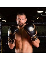 Boxerské rukavice 10oz - Aureos - Valor Series