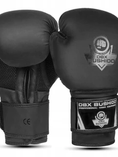 Boxerské rukavice 10oz - Black Master - Valor Series