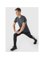 Pánské pravidelné rychleschnoucí tréninkové tričko 4F 4FWAW24TFTSM1003-22M