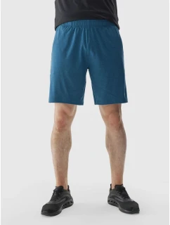 Pánské pravidelné rychleschnoucí tréninkové šortky 4F 4FWAW24TFSHM698-46M