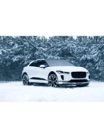 PE 85x185CM DUNLOP ANTI-SHRON SHIELD