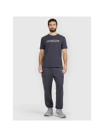 Pánské tričko s potiskem 4F 4FRAW25TTSHM3384-22S