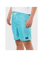 DC All Season Volley 14.5 Mládežnické šortky SEDBJV03012-BJM0