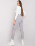 Tepláky RV DR 6896.48P šedá