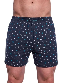 Pánské trenýrky Cornette Comfort 008/313 