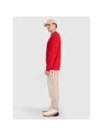 Pánská mikina 4F 4FWMM00TSWSM1767-062S s kapucí bez svetru