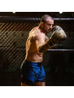 Boxerské rukavice 8oz - Gold Dragon - Valor Series