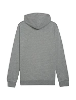 Puma Team Goal Casuals Hoody M 658618 33 Pánské