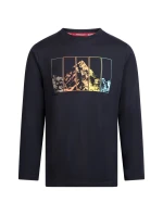 Pánské tričko Trespass Zeplin