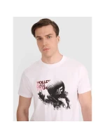 Pánské volejbalové tričko s potiskem 4F 4FRAW25TTSHM3235-10S