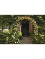 BRÁNA PERGOLA PRO RŮŽE KINZO BRÁNA PERGOLA PRO RŮŽE KINZO