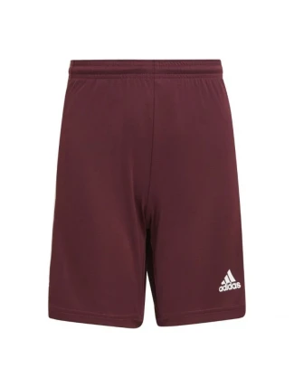 Squadra 21 Short Jr GN8081 - Adidas Squadra 21 Short Jr GN8081 - Adidas