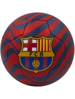 FC Barcelona fotbal 272373