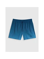 Pánské plážové boardshortky 4F 4FWSS26UBDSM168-46S