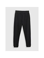 Dámské tepláky jogger 4F 4FRMM00TTROF1843-20S dámské