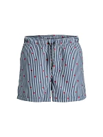 Jack&Jones pánské plavky JWHARUBA SWIM PRINTS SHORTS 12206537 NAVY BLAZER STRIPES Jack&Jones pánské plavky JWHARUBA SWIM PRINTS SHORTS 12206537 NAVY BLAZER STRIPES