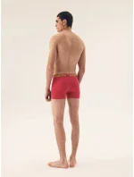 Pánské boxerky 2 pack 42628 Star - HENDERSON Pánské boxerky 2 pack 42628 Star - HENDERSON