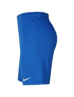 Pánská obuv Dry Park III NB M BV6855 463 - Nike