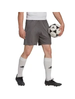 Pánské šortky Entrada 22 M H57505 - Adidas